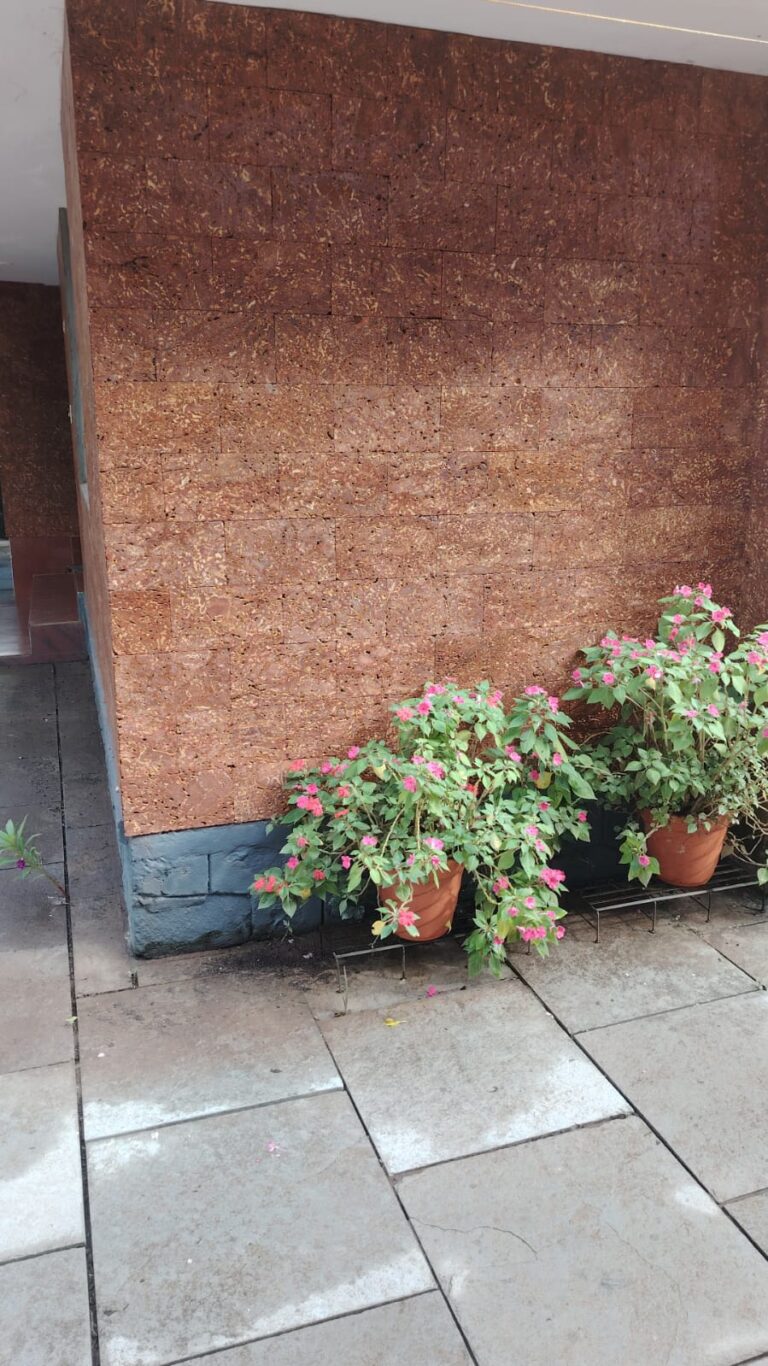 524ef81f-3a4c-4888-b72e-05272a7ef159