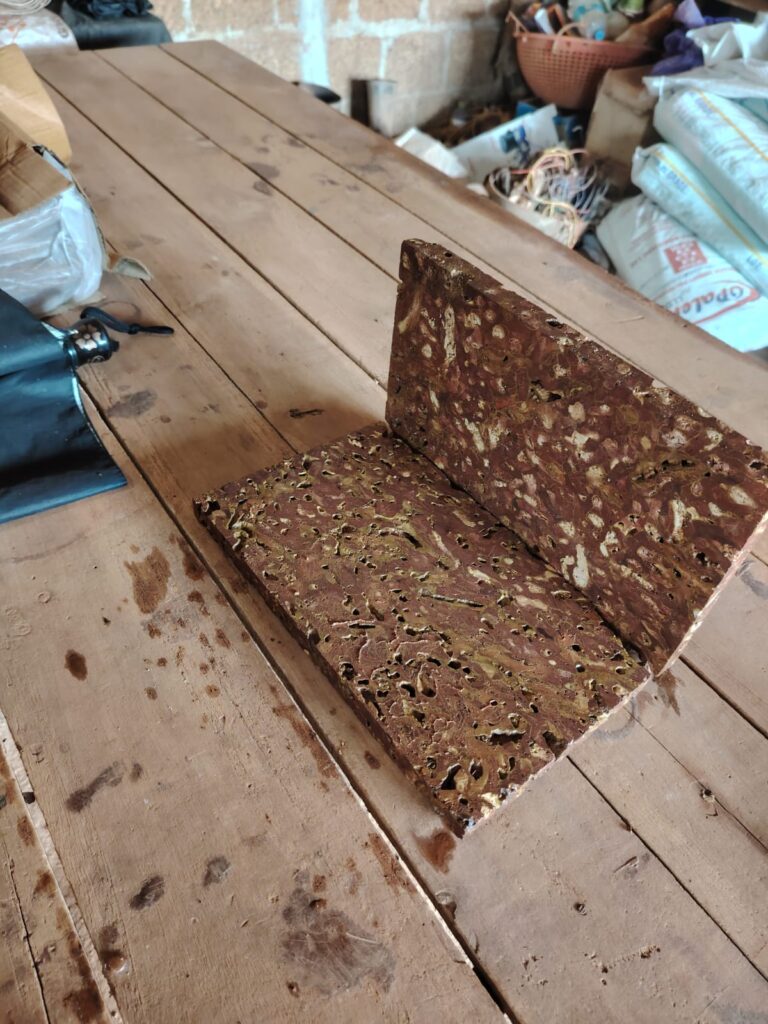 WhatsApp Image 2025-10-23 at 10.26.43 AM (1)